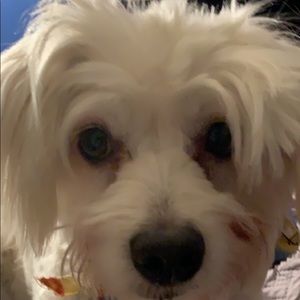 Meet your Posher, Mistt